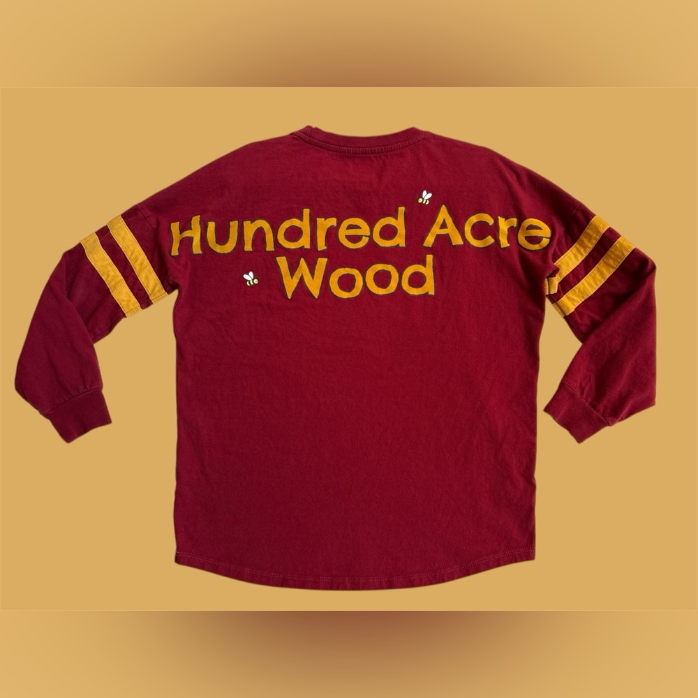 Disney Winnie the Pooh 100‎ Acre Wood Long Sleeve Spirit Velvety Letters SM EUC